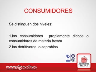 Se distinguen dos niveles:
1.los consumidores propiamente dichos o
consumidores de materia fresca
2.los detritívoros o saprobios
CONSUMIDORES
 