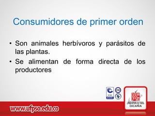 Consumidores de primer orden
• Son animales herbívoros y parásitos de
las plantas.
• Se alimentan de forma directa de los
productores
 