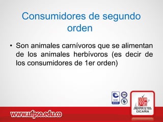 Consumidores de segundo
orden
• Son animales carnívoros que se alimentan
de los animales herbívoros (es decir de
los consumidores de 1er orden)
 