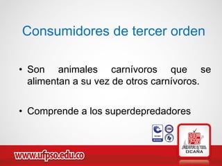 Consumidores de tercer orden
• Son animales carnívoros que se
alimentan a su vez de otros carnívoros.
• Comprende a los superdepredadores
 