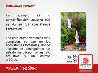 Estructura vertical.
Un ejemplo es la
estratificación lacustre que
se da en los ecosistemas
forestales.
Las estructuras verticales más
complejas se dan en los
ecosistemas forestales, donde
inicialmente distinguimos un
estrato herbáceo, un estrato
arbustivo y un estrato
arbóreo.
 