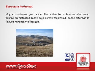 Estructura horizontal.
Hay ecosistemas que desarrollan estructuras horizontales como
ocurre en extensas zonas bajo climas tropicales, donde alternan la
llanura herbosa y el bosque.
 