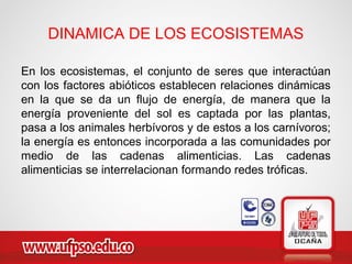 DINAMICA DE LOS ECOSISTEMAS
En los ecosistemas, el conjunto de seres que interactúan
con los factores abióticos establecen relaciones dinámicas
en la que se da un flujo de energía, de manera que la
energía proveniente del sol es captada por las plantas,
pasa a los animales herbívoros y de estos a los carnívoros;
la energía es entonces incorporada a las comunidades por
medio de las cadenas alimenticias. Las cadenas
alimenticias se interrelacionan formando redes tróficas.
 