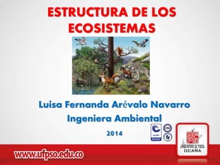 ESTRUCTURA DE LOS 
ECOSISTEMAS 
Luisa Fernanda Arévalo Navarro 
Ingeniera Ambiental 
2014 
 