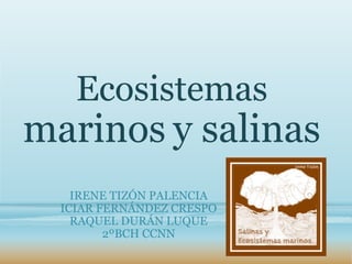 Ecosistemas
marinos y salinas
IRENE TIZÓN PALENCIA
ICIAR FERNÁNDEZ CRESPO
RAQUEL DURÁN LUQUE
2ºBCH CCNN
 