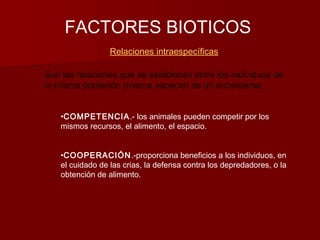 FACTORES BIOTICOS
Relaciones intraespecíficas
Son las relaciones que se establecen entre los individuos de
la misma población (misma especie) de un ecosistema:
•COMPETENCIA.- los animales pueden competir por los
mismos recursos, el alimento, el espacio.
•COOPERACIÓN.-proporciona beneficios a los individuos, en
el cuidado de las crias, la defensa contra los depredadores, o la
obtención de alimento.
 