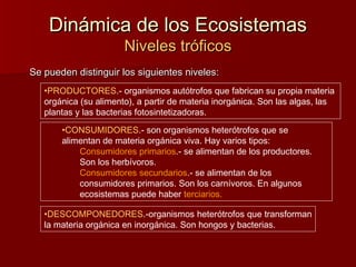 Dinámica de los EcosistemasDinámica de los Ecosistemas
Niveles tróficosNiveles tróficos
Se pueden distinguir los siguientes niveles:Se pueden distinguir los siguientes niveles:
•PRODUCTORES.- organismos autótrofos que fabrican su propia materia
orgánica (su alimento), a partir de materia inorgánica. Son las algas, las
plantas y las bacterias fotosintetizadoras.
•CONSUMIDORES.- son organismos heterótrofos que se
alimentan de materia orgánica viva. Hay varios tipos:
Consumidores primarios.- se alimentan de los productores.
Son los herbívoros.
Consumidores secundarios.- se alimentan de los
consumidores primarios. Son los carnívoros. En algunos
ecosistemas puede haber terciarios.
•DESCOMPONEDORES.-organismos heterótrofos que transforman
la materia orgánica en inorgánica. Son hongos y bacterias.
 