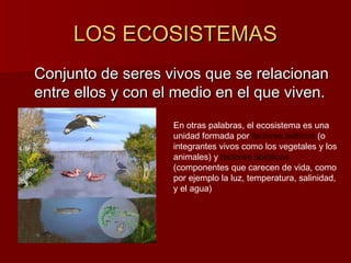 LOS ECOSISTEMASLOS ECOSISTEMAS
Conjunto de seres vivos que se relacionanConjunto de seres vivos que se relacionan
entre ellos y con el medio en el que viven.entre ellos y con el medio en el que viven.
En otras palabras, el ecosistema es una
unidad formada por factores bióticos (o
integrantes vivos como los vegetales y los
animales) y factores abióticos
(componentes que carecen de vida, como
por ejemplo la luz, temperatura, salinidad,
y el agua)
 