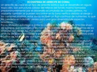 ECOSISTEMA DE ARRECIFE DE CORALUn arrecife de coral es un tipo de arrecife biótico que se desarrolla en aguas tropicales. Son estructuras sólidas del relieve del fondo marino formadas predominantemente por el desarrollo acumulado de corales pétreos, no obstante también se pueden encontrar en la Zona nerítica debido al oleaje y las corrientes marinas, estas zonas reciben un flujo continuo de nutrientes, lo que las convierte en hábitats ideales para una gran diversidad de especies acuáticas.Por su situación estratégica entre la costa y el mar abierto, Los arrecifes sirven de barreras que protegen a los manglares y praderas de yerbas marinas de los embates del oleaje; los manglares y praderas de yerbas, a su vez, protegen al arrecife de la sedimentación y sirven de áreas de reproducción y crianza para muchas de las especies que forman parte del ecosistema del arrecife.La respuesta de estos ecosistemas ante el cambio climático se conoce como blanqueo de coral. Cuando enfrentan un extremo y prolongado estrés por el calentamiento de las aguas tropicales, el coral expele las algas (zoo antelas) que viven en sus tejidos, con lo cual pierde su color natural y adquiere uno blancuzco; al perder su asociación con las algas, el coral muere. Se ha asociado esto a la mortalidad de muchas colonias de corales que en ocasiones parecen recuperarse naturalmente. La enfermedad de banda negra ha sido descrita como tejido necrótico que crece en los corales y parece ser causada por la cianobacterias Phormidium corallyticum. Este fenómeno se ha descrito en muchas áreas tropicales incluyendo el Caribe.