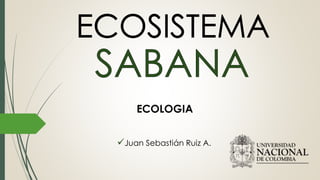 Juan Sebastián Ruiz A.
ECOLOGIA
 