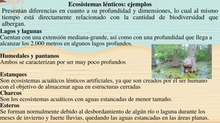 Lagos y lagunas
Cuentan con una extensión mediana-grande, así como con una profundidad que llega a
alcanzar los 2.000 metros en algunos lagos profundos.
Humedales y pantanos
Ambos se caracterizan por ser muy poco profundos
Estanques
Son ecosistemas acuáticos lénticos artificiales, ya que son creados por el ser humano
con el objetivo de almacenar agua en estructuras cerradas
Charcos
Son los ecosistemas acuáticos con aguas estancadas de menor tamaño.
Esteros
Se forman normalmente debido al desbordamiento de algún río o laguna durante los
meses de invierno y fuerte lluvias, quedando las aguas estancadas en las áreas planas.
Ecosistemas lénticos: ejemplos
Presentan diferencias en cuanto a su profundidad y dimensiones, lo cual al mismo
tiempo está directamente relacionado con la cantidad de biodiversidad que
albergan.
 