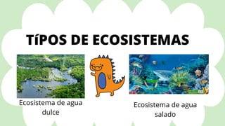 Ecosistema de agua
dulce


Ecosistema de agua

salado
TíPOS DE ECOSISTEMAS
 