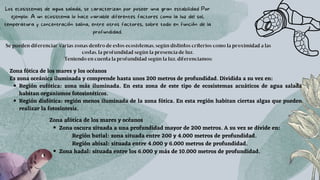 Se pueden diferenciar varias zonas dentro de estos ecosistemas, según distintos criterios como la proximidad a las
costas, la profundidad según la presencia de luz.
Teniendo en cuenta la profundidad según la luz, diferenciamos:
Los ecosistemas de agua salada, se caracterizan por poseer una gran estabilidad Por
ejemplo: A un ecosistema lo hace variable diferentes factores como la luz del sol,
temperatura y concentración salina, entre otros factores, sobre todo en función de la
profundidad.
Región eufótica: zona más iluminada. En esta zona de este tipo de ecosistemas acuáticos de agua salada
habitan organismos fotosintéticos.
Región disfótica: región menos iluminada de la zona fótica. En esta región habitan ciertas algas que pueden
realizar la fotosíntesis.
Zona fótica de los mares y los océanos
Es zona oceánica iluminada y comprende hasta unos 200 metros de profundidad. Dividida a su vez en:
Zona oscura situada a una profundidad mayor de 200 metros. A su vez se divide en:
Zona hadal: situada entre los 6.000 y más de 10.000 metros de profundidad.
Zona afótica de los mares y océanos
Región batial: zona situada entre 200 y 4.000 metros de profundidad.
Región abisal: situada entre 4.000 y 6.000 metros de profundidad.
 