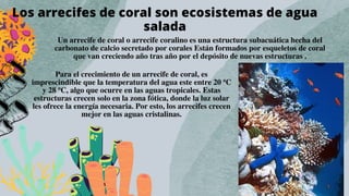 Los arrecifes de coral son ecosistemas de agua
salada


Un arrecife de coral o arrecife coralino es una estructura subacuática hecha del
carbonato de calcio secretado por corales Están formados por esqueletos de coral
que van creciendo año tras año por el depósito de nuevas estructuras .
Para el crecimiento de un arrecife de coral, es
imprescindible que la temperatura del agua este entre 20 ºC
y 28 ºC, algo que ocurre en las aguas tropicales. Estas
estructuras crecen solo en la zona fótica, donde la luz solar
les ofrece la energía necesaria. Por esto, los arrecifes crecen
mejor en las aguas cristalinas.
 