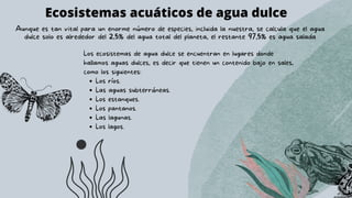 Los ríos.
Las aguas subterráneas.
Los estanques.
Los pantanos.
Las lagunas.
Los lagos.
Los ecosistemas de agua dulce se encuentran en lugares donde
hallamos aguas dulces, es decir que tienen un contenido bajo en sales,
como los siguientes:
Ecosistemas acuáticos de agua dulce
Aunque es tan vital para un enorme número de especies, incluida la nuestra, se calcula que el agua
dulce solo es alrededor del 2,5% del agua total del planeta, el restante 97,5% es agua salada
 