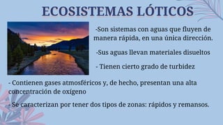 -Son sistemas con aguas que fluyen de
manera rápida, en una única dirección.
-Sus aguas llevan materiales disueltos
- Tienen cierto grado de turbidez
ECOSISTEMAS LÓTICOS
ECOSISTEMAS LÓTICOS
- Contienen gases atmosféricos y, de hecho, presentan una alta
concentración de oxígeno
- Se caracterizan por tener dos tipos de zonas: rápidos y remansos.
 