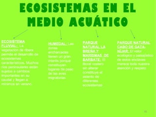 ECOSISTEMAS EN EL
            MEDIO ACUÁTICO
ECOSISTEMA                                   PARQUE            PARQUE NATURAL
                           HUMEDAL: Las
FLUVIAL: La                                  NATURAL LA        CABO DE GATA-
                           zonas
vegetación de ribera                         BREÑA Y           NÍJAR: El valor
                           encharcadas
permite el desarrollo de                     MARISMAS DE       ecológico y paisajístico
                           tienen un gran
ecosistemas                                  BARBATE: El       de estos enclaves
                           interés porque
característicos. Muchos                      litoral costero   merece toda nuestra
                           constituyen
ríos peninsulares están                      sin alterar       atención y respeto
                           lugares de paso
sujetos a cambios                            constituye el
                           de las aves
importantes en su                            asiento de
                           migratorias
caudal y llegan a                            diferentes
mínimos en verano.                           ecosistemas




                                                                                15
 