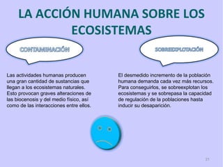 LA ACCIÓN HUMANA SOBRE LOS
             ECOSISTEMAS


Las actividades humanas producen         El desmedido incremento de la población
una gran cantidad de sustancias que      humana demanda cada vez más recursos.
llegan a los ecosistemas naturales.      Para conseguirlos, se sobreexplotan los
Esto provocan graves alteraciones de     ecosistemas y se sobrepasa la capacidad
las biocenosis y del medio físico, así   de regulación de la poblaciones hasta
como de las interacciones entre ellos.   inducir su desaparición.




                                                                            21
 