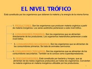 E L NIVE L TRÓFICO
Está constituido por los organismos que obtienen la materia y la energía de la misma forma




         1. PRODUCTORES: Son los organismos que producen materia orgánica a partir
         de materia inorgánica. Los seres autótrofos pertenecen a este nivel trófico.

         2. CONSUMIDORES PRIMARIOS: Son los organismos que se alimentan
         directamente de los productores. Los organismos heterótrofos pertenecen a este
         nivel trófico.

          3. CONSUMIDORES SECUNDARIOS: Son los organismos que se alimentan de
          los consumidores primarios. Se trata de animales carnívoros.

         4.CONSUMIDORES TERCIARIOS: Son los organismos que se alimentan de los
         consumidores secundarios. También se le conoce como superdepredadores.

         5. DESCOMPONEDORES: Está constituido por bacteria y hongos, que se
         alimentan de los restos orgánicos producidos por todos los organismos. Convierten
         la materia orgánica en materia inorgánica utilizable por los productores.
                                                                                      5
 