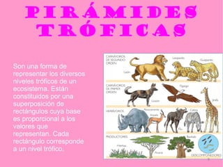 PIRÁMIDES
    TRÓFICAS

Son una forma de
representar los diversos
niveles tróficos de un
ecosistema. Están
constituidos por una
superposición de
rectángulos cuya base
es proporcional a los
valores que
representan. Cada
rectángulo corresponde
a un nivel trófico.
                           9
 
