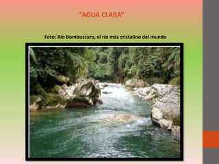 “AGUA CLARA”
Foto: Río Bombuscaro, el río más cristalino del mundo
 