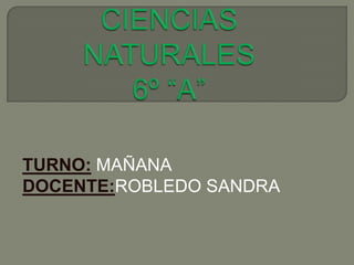 TURNO: MAÑANA
DOCENTE:ROBLEDO SANDRA
 