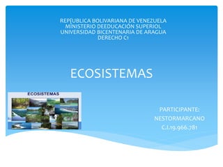 ECOSISTEMAS
PARTICIPANTE:
NESTORMARCANO
C.I.19.966.781
REP{UBLICA BOLIVARIANA DE VENEZUELA
MINISTERIO DEEDUCACIÓN SUPERIOL
UNIVERSIDAD BICENTENARIA DE ARAGUA
DERECHO C1
 