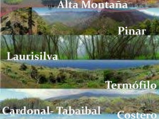 Ecosistemas canarios | PPTX