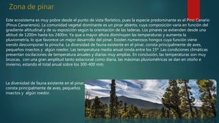 Zona de pinar
Este ecosistema es muy pobre desde el punto de vista florístico, pues la especie predominante es el Pino Canario
(Pinus Canariensis). La comunidad vegetal dominante es un pinar abierto, cuya composición varía en función del
gradiente altitudinal y de su exposición según la orientación de las laderas. Los pinares se extienden desde una
altitud de 1200m hasta los 2400m. Ya que a mayor altura disminuyen las temperaturas y aumenta la
pluviometría, lo que favorece un mejor desarrollo del pinar. Existen numerosos hongos cuya función viene
siendo descomponer la pinocha. La diversidad de fauna existente en el pinar, consta principalmente de aves,
pequeños insectos y algún roedor. Las temperatura media anual ronda entre los 15º .Las condiciones climáticas
presentan oscilaciones de temperatura anuales y diarias muy amplias. En conclusión, las temperaturas son muy
bruscas, con una gran amplitud tanto estacional como diaria, las máximas pluviométricas se dan en otoño e
invierno, estando el total anual sobre los 300-400 mm.
La diversidad de fauna existente en el pinar,
consta principalmente de aves, pequeños
insectos y algún roedor.
 
