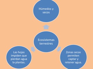 Ecosistemas
terrestres
Húmedos y
secos
Zonas secas
permiten
captar y
retener agua.
Las hojas
impiden que
pierdan agua
la plantas.
 