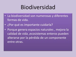 Biodiversidad
• La biodiversidad son numerosas y diferentes
formas de vida.
• ¿Por qué es importante cuidarla?
• Porque genera espacios naturales , mejora la
calidad de vida ,ecosistemas enteros pueden
alterarse por la pérdida de un componente
entre otras.
 