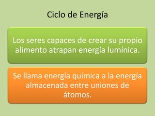 Ciclo de Energía
Los seres capaces de crear su propio
alimento atrapan energía lumínica.
Se llama energía química a la energía
almacenada entre uniones de
átomos.
 