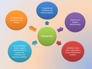 Población
Conjunto de
individuos de
misma especie.
Viven en un
espacio
determinado
Individuo nace,
crece ,reproduce y
muere.Permanece
estable.
Si un individuo
muere ,siguen
manteniendo su
numero de
individuos sin
mayores cambios.
Las poblaciones
perduran en el
tiempo
 