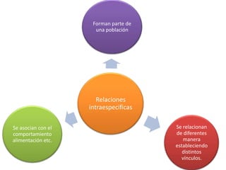 Relaciones
intraespecificas
Forman parte de
una población
Se relacionan
de diferentes
manera
estableciendo
distintos
vínculos.
Se asocian con el
comportamiento
alimentación etc.
 