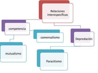 Relaciones
interespecíficas
competencia
mutualismo
comensalismo Depredación
Parasitismo
 