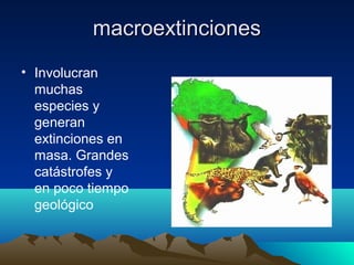 macroextincionesmacroextinciones
• Involucran
muchas
especies y
generan
extinciones en
masa. Grandes
catástrofes y
en poco tiempo
geológico
 