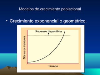 Modelos de crecimiento poblacionalModelos de crecimiento poblacional
• Crecimiento exponencial o geométrico.
 