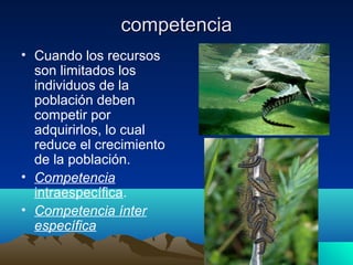 competenciacompetencia
• Cuando los recursos
son limitados los
individuos de la
población deben
competir por
adquirirlos, lo cual
reduce el crecimiento
de la población.
• Competencia
intraespecífica.
• Competencia ínter
específica
 