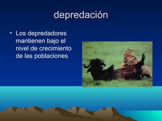 depredacióndepredación
• Los depredadores
mantienen bajo el
nivel de crecimiento
de las poblaciones
 