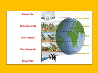 Clima Polar
Clima Templado
Clima Tropical
Clima Templado
Clima Polar
 