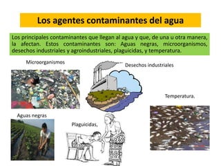 Los principales contaminantes que llegan al agua y que, de una u otra manera,
la afectan. Estos contaminantes son: Aguas negras, microorganismos,
desechos industriales y agroindustriales, plaguicidas, y temperatura.
Los agentes contaminantes del agua
Temperatura.
Aguas negras
Desechos industriales
Plaguicidas,
Microorganismos
 