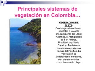 Principales sistemas de
vegetación en Colombia…
                  VEGETACION DE
                       PLAYA:
              Son franjas discontinuas,
                 paralelas a la costa
              principalmente del Litoral
              Atlántico, el Archipiélago
                   de San Andrés,
                 Providencia y Santa
                Catalina. También se
               encuentran en algunas
               franjas del Pacífico. La
                    vegetación es
              generalmente herbácea,
                 con elementos tales
               como batatas de playa.
 
