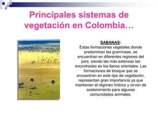 Principales sistemas de
vegetación en Colombia…
                          SABANAS:
              Estas formaciones vegetales donde
                predominan las gramíneas, se
            encuentran en diferentes regiones del
               país, siendo las más extensas las
           encontradas en los llanos orientales. Las
                formaciones de bosque que se
            encuentran en este tipo de vegetación,
             representan gran importancia ya que
           mantienen el régimen hídrico y sirven de
                  sostenimiento para algunas
                    comunidades animales.
 