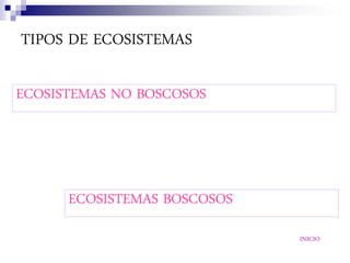 TIPOS DE ECOSISTEMAS

ECOSISTEMAS NO BOSCOSOS




      ECOSISTEMAS BOSCOSOS
                             INICIO
 