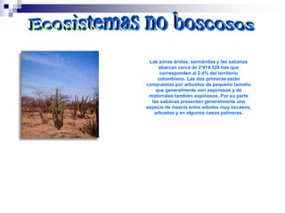 Las zonas áridas, semiáridas y las sabanas
     abarcan cerca de 2’914.528 has que
      corresponden al 2.4% del territorio
     colombiano. Las dos primeras están
compuestas por arbustos de pequeño tamaño
    que generalmente son espinosos y de
 matorrales también espinosos. Por su parte
  las sabanas presentan generalmente una
especie de mezcla entre arboles muy escasos,
   arbustos y en algunos casos palmeras.
 