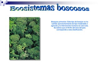 Bosques primarios: Este tipo de bosque no ha
 sufrido aprovechamiento de tipo maderable o
agrícola y la intervención humana es casi nula.
   Se estima que el 44.8% del área del país
       corresponde a esta clasificación.
 