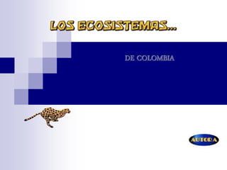 DE COLOMBIA
 