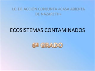 I.E. DE ACCIÓN CONJUNTA «CASA ABIERTA
DE NAZARETH»

ECOSISTEMAS CONTAMINADOS

 