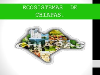 ECOSISTEMAS DE
CHIAPAS.
 