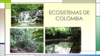 ECOSISTEMAS DE
COLOMBIA
 